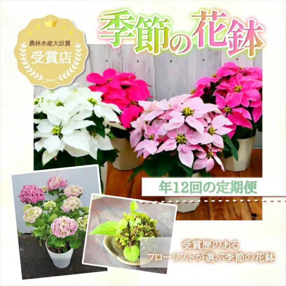 【定期便年12回　季節の花鉢】農林水産大臣賞を受賞したフローリストがアレンジする 季節を知らせる花鉢 ｜ 花鉢