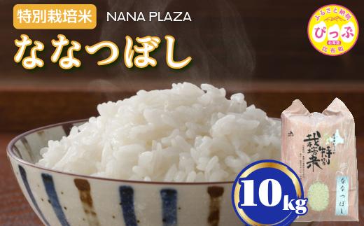令和7年産 特別栽培米 ななつぼし 10kg【ナナプラザ】米 お米 北海道産 北海道米 特Aランク 国産 白米 コメ 北海道 比布町 ぴっぷ 1021-004