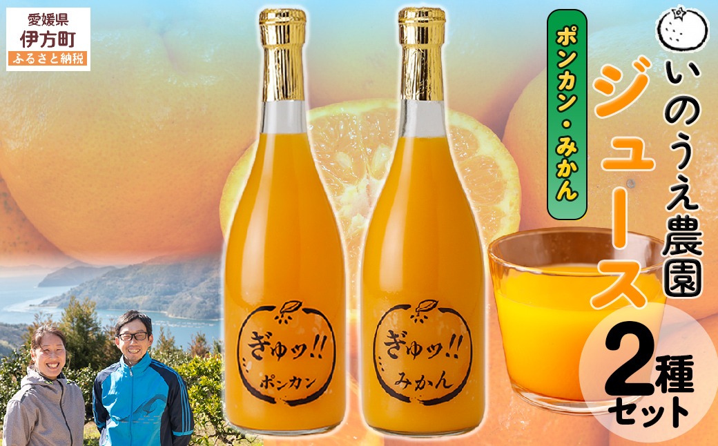 いのうえ農園 ジュース2種セット（ポンカン/みかん）※離島への配送不可 IKTAI017