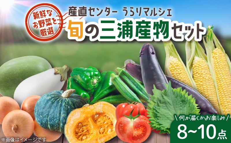 
            産直センターうらりマルシェ　 旬の三浦産物セット　M033-002
          