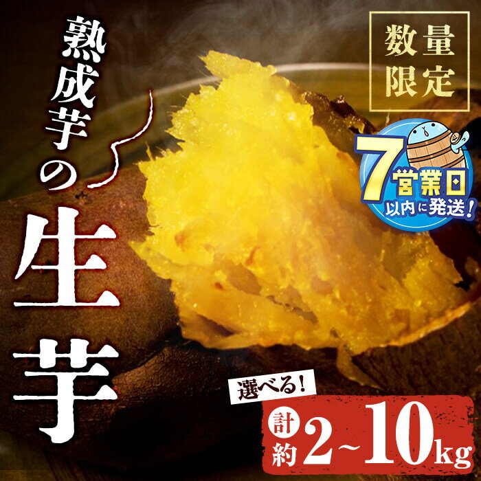 【ふるさと納税】【数量限定】【容量が選べる！】宮下さんちの熟成芋 (紅はるか 生芋) 期間限定 さつまいも さつま芋 生芋 紅はるか べにはるか 数量限定 和スイーツ 焼き芋 やきいも 焼芋 大学芋 ふかし芋 天ぷら 芋ご飯 芋【宮下商店】