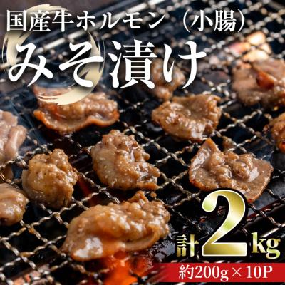 ふるさと納税 曽於市 国産牛ホルモン(小腸)みそ漬け　2kg