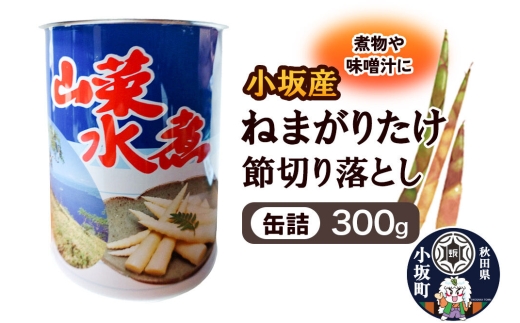 小坂産 ねまがりだけ 節切り落とし 缶詰300g [根曲り竹 根曲がり竹 ねまがりだけ チシマザサ 春の味覚 山の幸 お味噌汁 炊き込みご飯 天ぷら 煮物]