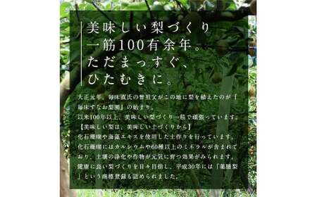 FKP9-652 【先行予約】 マンゴー梨（王秋梨） 約2.5kg なし ナシ 和梨 和なし 和ナシ ブランド梨