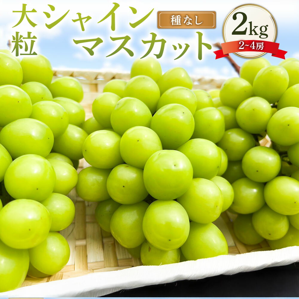 【ふるさと納税】大粒 シャインマスカット 2～4房 約2kg マスカット ぶどう ブドウ 葡萄 種なし 果物 くだもの フルーツ おやつ デザート 常温 岡山県産 岡山県 美咲町 送料無料【2025年10月上旬～12月上旬発送予定】