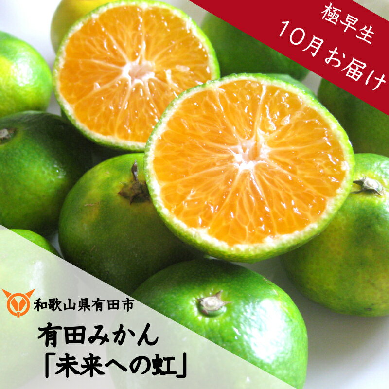 【ふるさと納税】◇10月お届け◇厳選 有田みかん「未来への虹」5kgまたは10kg(A233-2)送料無料 産地直送 フルーツ 果物 本場 和歌山 有田 有田市 ありだ みかん 甘酸っぱい 甘い 酸味 濃厚 凝縮 極早生（ごくわせ） ふるさと 応援 寄附 先行予約