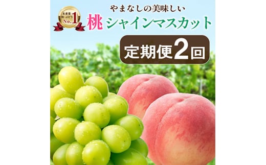 ＜発送月固定定期便＞山梨の美味しい＜桃とシャインマスカット＞定期便全2回【4013283】