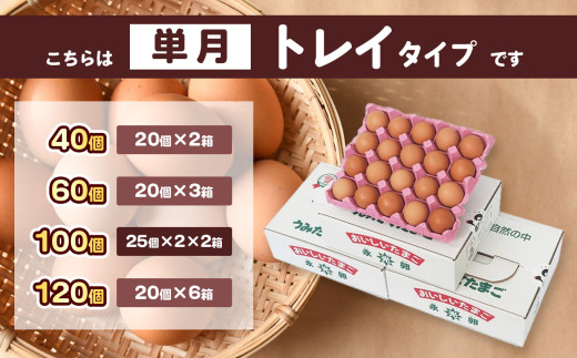 メディア紹介多数！ 永光卵 【 120個 】 卵 たまご トレイ | 送料無料 えいこうらん 光永ファーム みつなが おいしい卵 卵かけごはん プリン ゆうパック 君津市 きみつ 千葉県