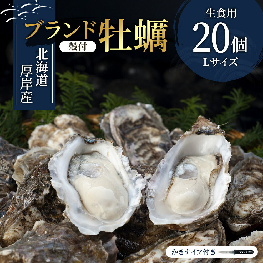 【ふるさと納税】厚岸産　殻付カキLサイズ20個（生食用） 魚貝類 生牡蠣 かき 牡蠣 メルマガ掲載商品2 　お届け：2025年11月初旬から順次出荷　※12月20日～1月8日配送不可