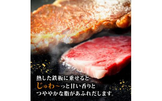 黒毛和牛 A5等級 サーロイン ステーキ 600g 200g×3枚 国産 小分け お肉 牛肉 焼き肉 焼肉 黒毛和牛 サーロインステーキ 和牛 ステーキ 贈答 ギフト 贈答用 お祝い 内祝い お歳暮 