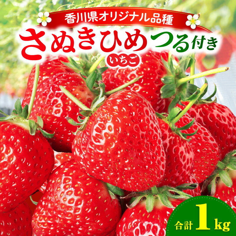 【ふるさと納税】【先行予約】三木町地域いちご部会『さぬきひめ』 つる付き 1kg 果物 フルーツ 苺 デザート 食後のデザート イチゴ 旬 おすすめ グルメ 季節 ギフト 果肉 おすそ分け アレンジ 生鮮食品 いちごジャム 旬の果物 贈答 贈り物 果実 青果物 パック 国産 冷蔵