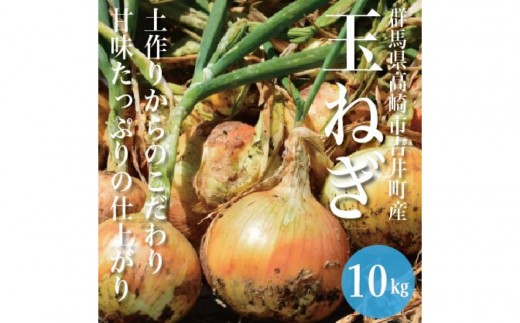 群馬県高崎市吉井町の玉ねぎ（10kg）