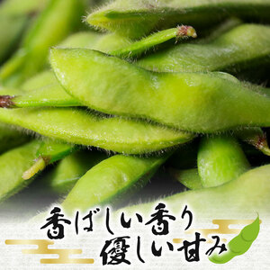 【香ばし旨味】大粒 甘み香ばしい 無農薬 枝豆1kg 上田ファーム 自然栽培旬の味 枝豆 1kg 大粒 甘い 香ばしい ホクホク 新鮮 無農薬 有機 自然栽培 エコ 安心 安全 通販 お取り寄せ 贈答