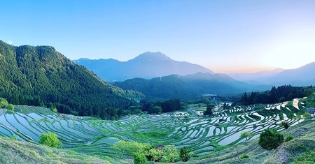 丸山千枚田を守る会会員権（令和８年度）【snmr0004】