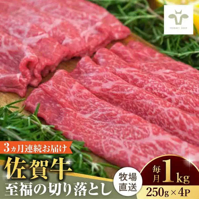 【全3回定期便】佐賀牛至福の切り落とし 計3kg（250g×4袋×3回） / 佐賀県 / 有限会社佐賀セントラル牧場 [41ASAA022]