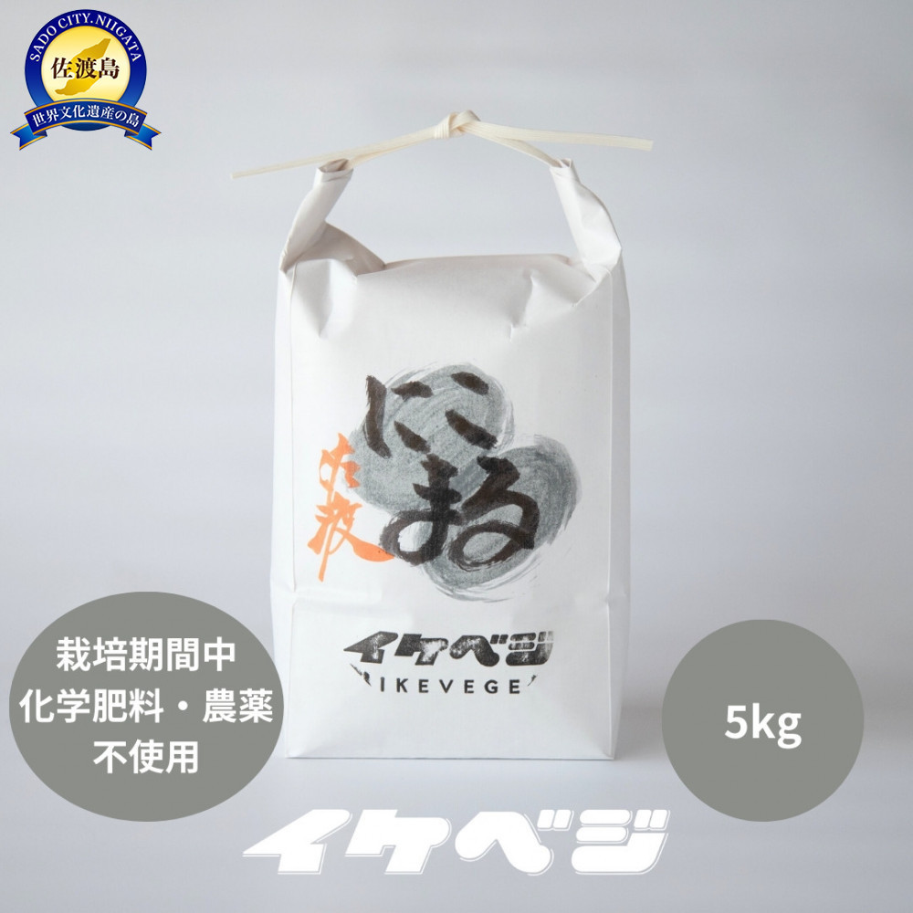 
            新潟県佐渡産 令和7年産 【にこまる】 玄米 5kg
          