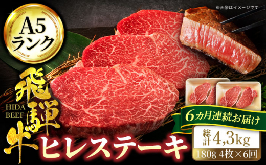 
【6回定期便】＜A5ランク＞飛騨牛ヒレステーキ180g×4枚 計720g 総計4.32kg【有限会社マルゴー】 [MBE048]
