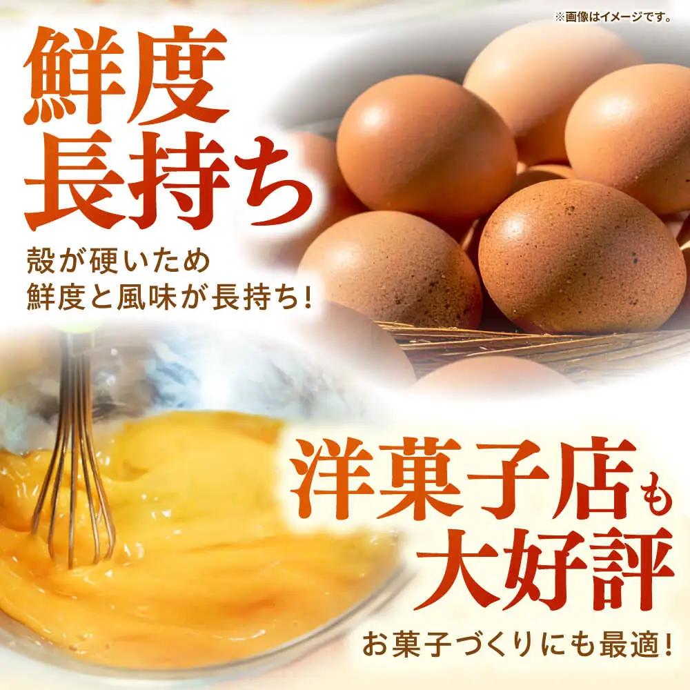 【全12回定期便】【特選卵】素直な恋たまご 30個 [JAP021]