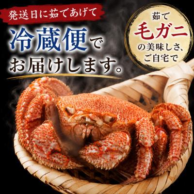 ふるさと納税 旭川市 【先行予約】北海道オホーツク産海明け活毛ガニボイル未冷凍チルド冷蔵配送500g前後×2尾_03500 |  | 01