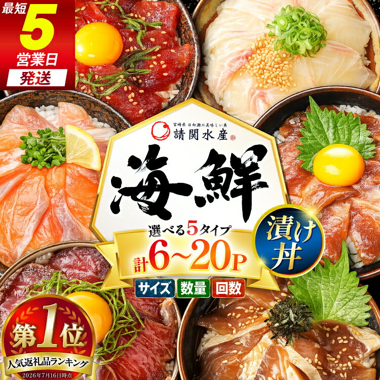 【ふるさと納税】総合1位獲得！ 海鮮丼 漬丼 選べる 中サイズ 5種 6P 8P 大サイズ 6種 単発 定期便 [請関水産 宮崎県 日向市 452061505] 海鮮 海鮮丼の具 海鮮漬け丼 食べ比べ 丼 冷凍 漬け丼 簡単 個包装 海鮮丼セット ブリ マダイ カンパチ マグロ サーモン カツオ