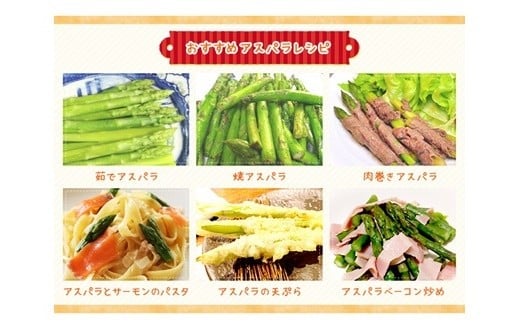 ＜早期予約・数量限定＞北海道ニセコ町 アスパラMサイズ2kg【2026年産】