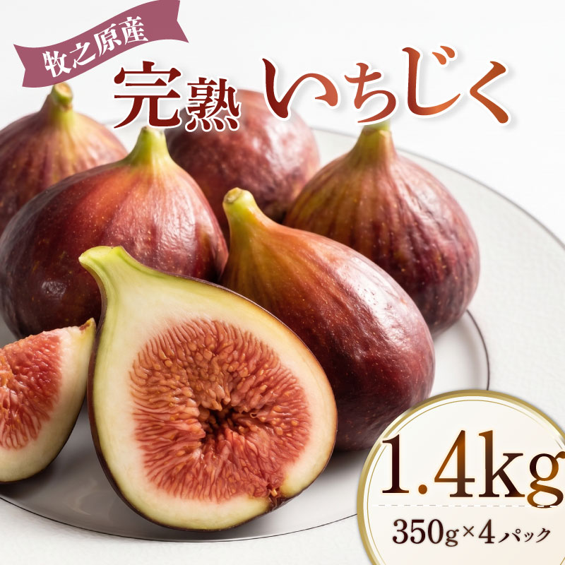 【ふるさと納税】いちじく 1．4kg もぐはぐ農園の完熟もぎたて「いちじく」 いちじく 生 イチジク 旬 いちぢく くだもの 新鮮 イチジク 産地直送 期間限定発送 季節 果物 ギフト 静岡 牧之原 ふるさと納税 国産 先行予約 期間限定 朝採れ 丸新柴本製茶