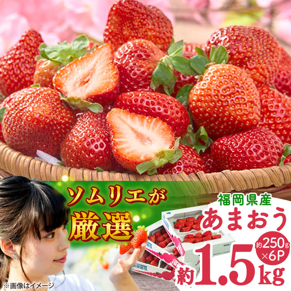 【ふるさと納税】【2026年2月上旬より順次発送】福岡産【春】 あまおう 6パック 吉富町/南国フルーツ株式会社[BGAG026] 果物 フルーツ デザート いちご イチゴ 苺 あまおう 人気 美味しい ふるさと納税