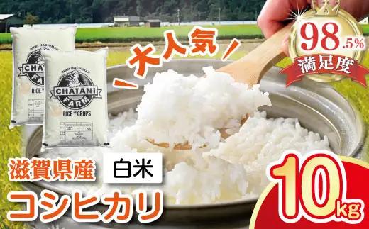 【新米】令和8年産　近江米　コシヒカリ 白米【10kg（5㎏×2袋）】【V012W2】 こしひかり 近江米