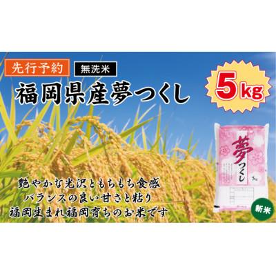 ふるさと納税 香春町 《無洗米》【新米　8年産】9月〜出荷【食味鑑定士厳選】福岡県 夢つくし5k(5k×1袋)(香春町)