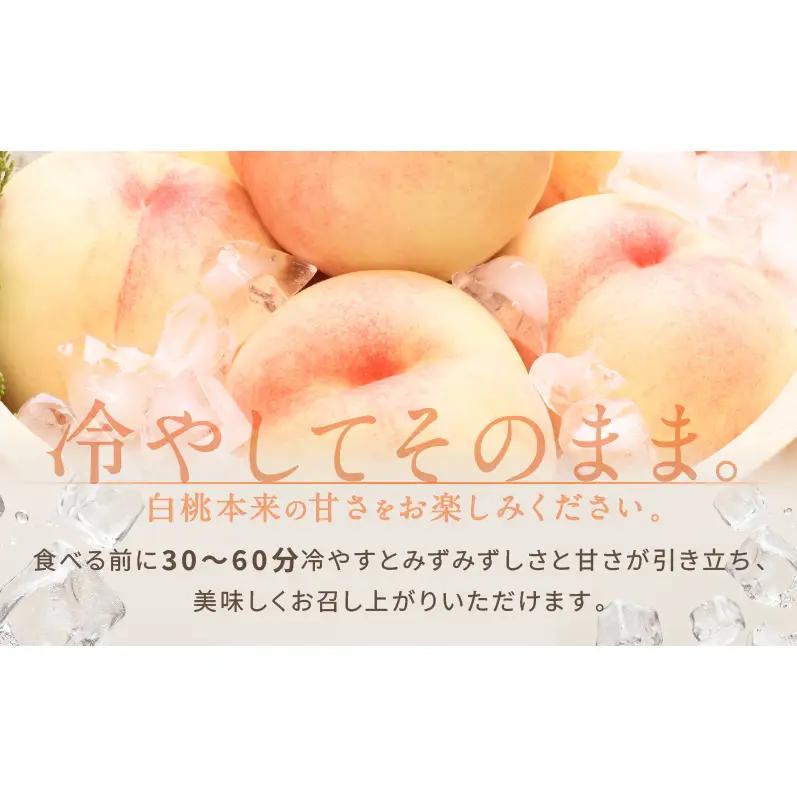 桃 2026年 先行予約 白桃 8玉 合計約2.0kg  岡山県産 桃