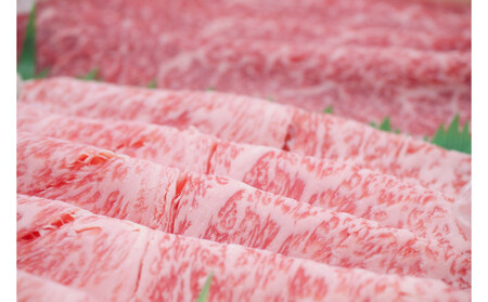 近江牛 すき焼き・しゃぶしゃぶ用 【霜降り・赤身盛り合わせ】500ｇ