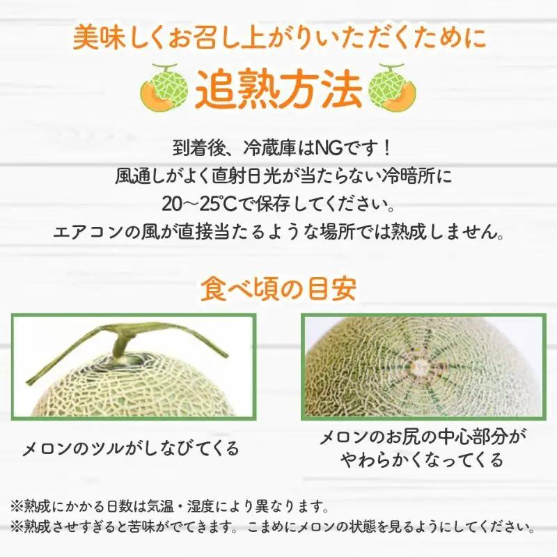 【2026年夏発送】北海道 富良野 メロン 3Lサイズ 2玉 計約4kg フルーツ 果物