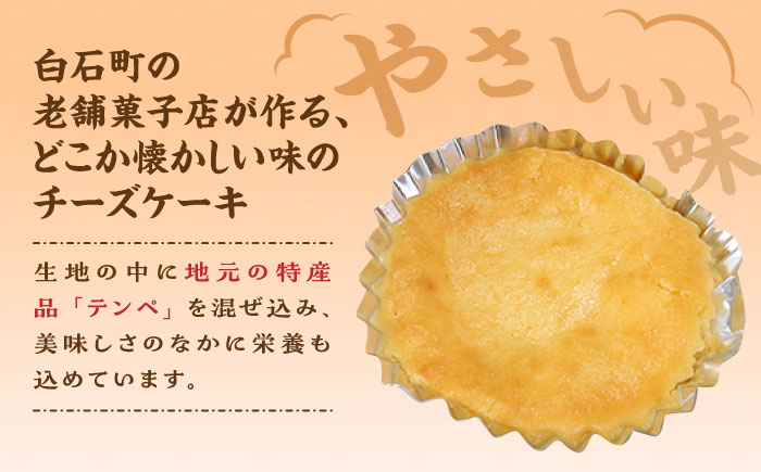 しろいしてんぺ入り！ チーズケーキ 酥 【おかしの中央堂】 [IDA001]