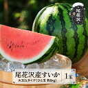 【ふるさと納税】先行予約 尾花沢産すいか3Lサイズ 約8kg×1玉 7月中旬~8月中旬頃発送 令和7年産 2025年産 尾花沢すいか すいか 西瓜 送料無料 農産加工※沖縄・離島への配送不可 nk-su3xx1