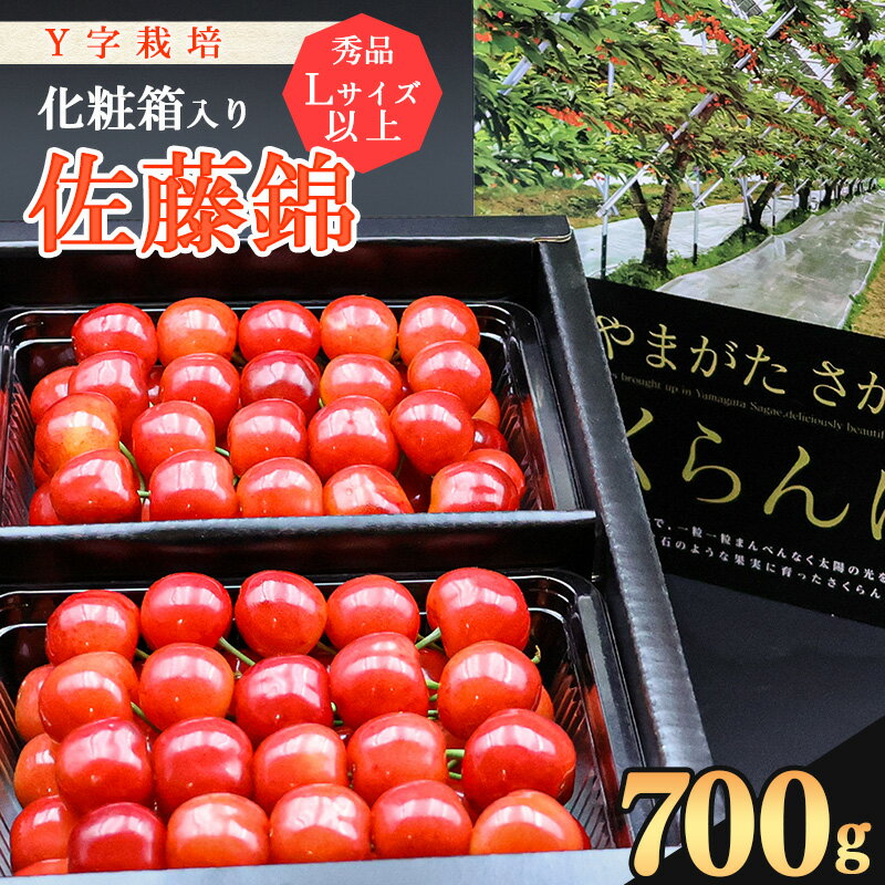 【ふるさと納税】《先行予約！》山形県産 さくらんぼ《こだわりのY字仕立て栽培》「佐藤錦」700g 秀品 Lサイズ以上 化粧箱入り 【2026年6月上旬頃〜下旬頃発送予定】※配送不可 沖縄・離島2026年産 令和8年産 お取り寄せ 特産 高級 山形 山形県 生産者直送
