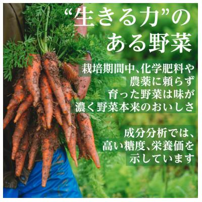 ふるさと納税 掛川市 【毎月定期便】有機野菜　Lセット　オーガニック 野菜セット　有機JAS認証　しあわせ野菜畑　全12回 |  | 01