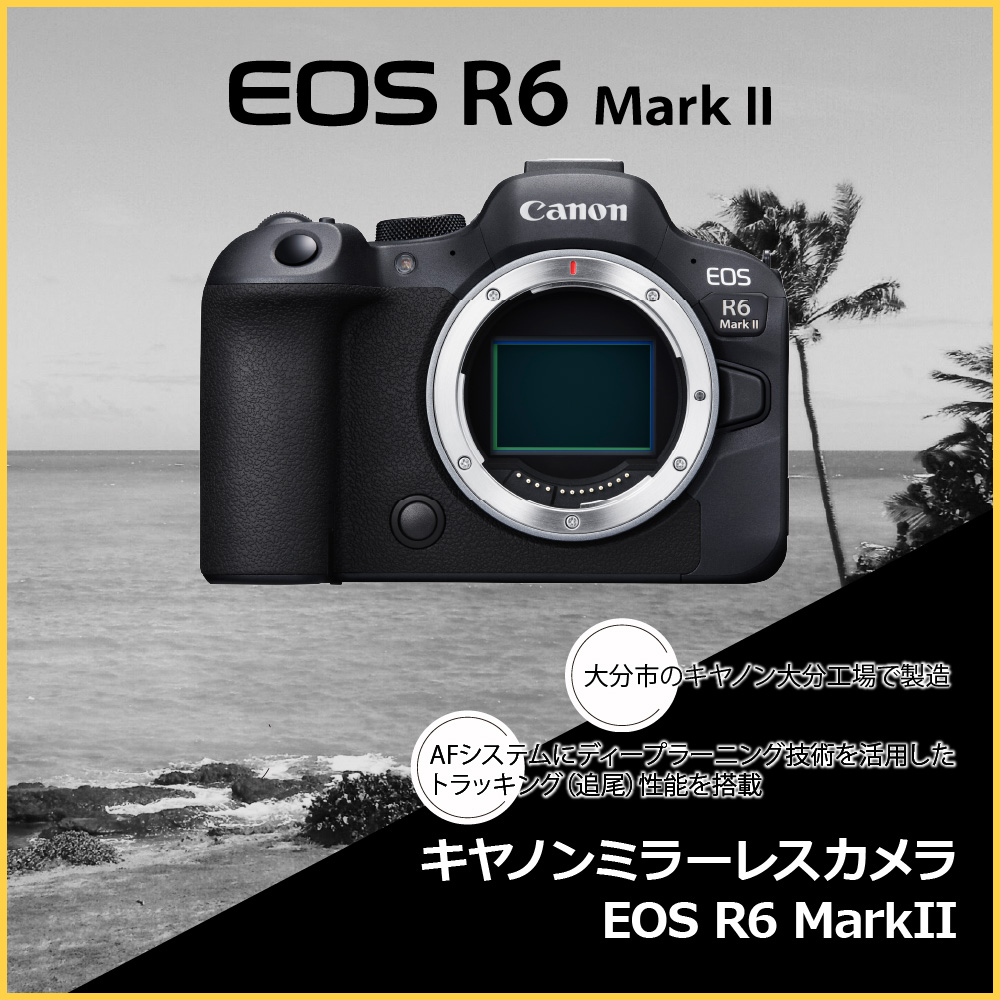 キヤノンミラーレスカメラ EOS R6 Mark Ⅱ CANON Canon キヤノン