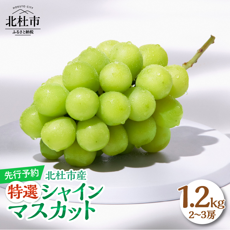 【2025年先行予約】八ヶ岳南麓の天然水で育てたシャインマスカット 1.2kg(2~3房)　※特選