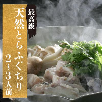 ふるさと納税 下関市 【期間限定】とらふぐ ちり セット 天然 冷蔵 2~3人前 ふぐ鍋 CD405