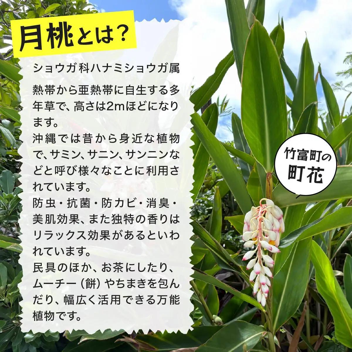 月桃かご編みバッグ(大)