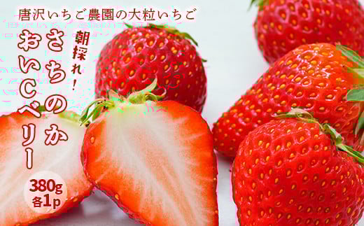 【先行予約】 いちご 食べ比べ さちのか ＆ おいCべりー 唐沢いちご農園  大粒いちご （各380g×1パック）果物 フルーツ 苺 イチゴ 岩手県 一関市