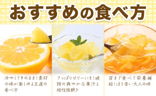爽快柑橘 有田育ちの爽やか柑橘 ご家庭用 河内晩柑 3.5kg 有田マルシェ 先行予約《2027年4月上旬-5月下旬頃出荷》 和歌山県 日高町 晩柑 和製グレープフルーツ 訳あり 旬 柑橘 フルーツ 