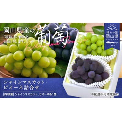 
                  ＜2026年発送＞シャインマスカット・ピオーネ詰合せ　(各1房・合計約1.0kg)【1614037】
                