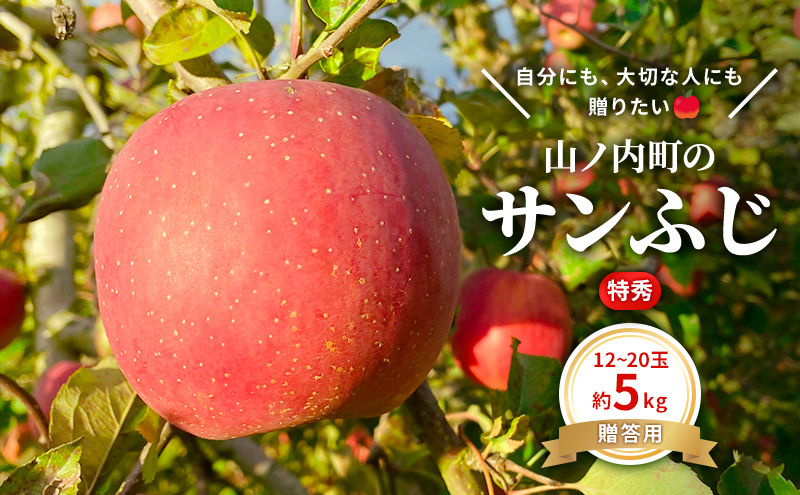 贈りたい味,笑顔届ける　 山ノ内育ちのりんご　サンふじ　贈答用　特秀5kg りんご 果物