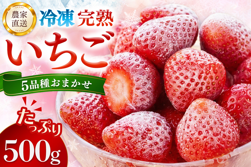 冷凍完熟いちご500g【完熟いちご 冷凍いちご イチゴ 苺 産地直送 農場直送 ヘタ無し げんき農場 よつぼし おいCベリー かおり野 紅ほっぺ 恋みのり】K100040