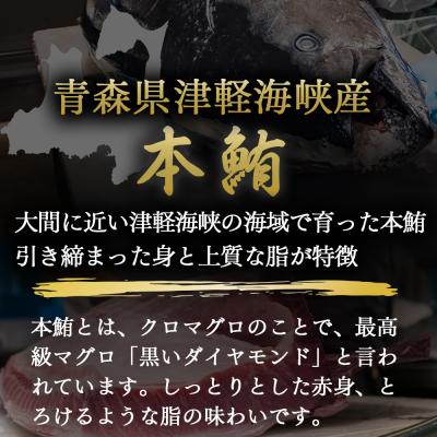 ふるさと納税 むつ市 【引き締まった旨味】津軽海峡産まぐろ(中トロ200g) |  | 01