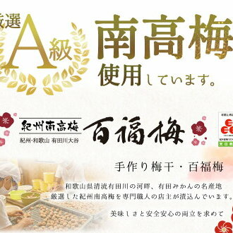 AR6005_紀州の梅干し 有田みかん蜂蜜梅（紀州南高梅／500g）化粧箱入り 塩分8％_イメージ2