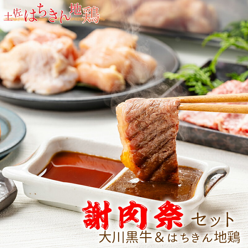 【ふるさと納税】土佐はちきん地鶏600g （300g×2）大川黒牛180g 大川村謝肉祭のたれ400g 塩30g ポン酢200ml 地鶏 詰合せ もも肉 モモ むね肉 ムネ 胸肉 鶏肉 とり肉 とりにく 肉 高知県 大川村 F6R-082