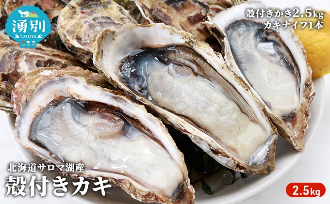 
                  北海道 サロマ湖産 殻付き かき 2.5kg 牡蠣 カキ 国産 貝付き 生食 焼き牡蠣 蒸し牡蠣 冷蔵 産地直送 オホーツク 魚貝類 生牡蠣北海道産 
                