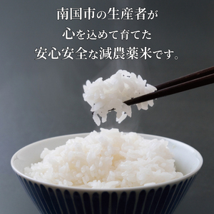 【令和7年度産米】 コシヒカリ 5キロ 数量限定 高知県 南国市 土佐武市農場